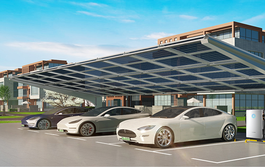 伟德体育官网 - 综合体育赛事平台|奥体中心相助同伴